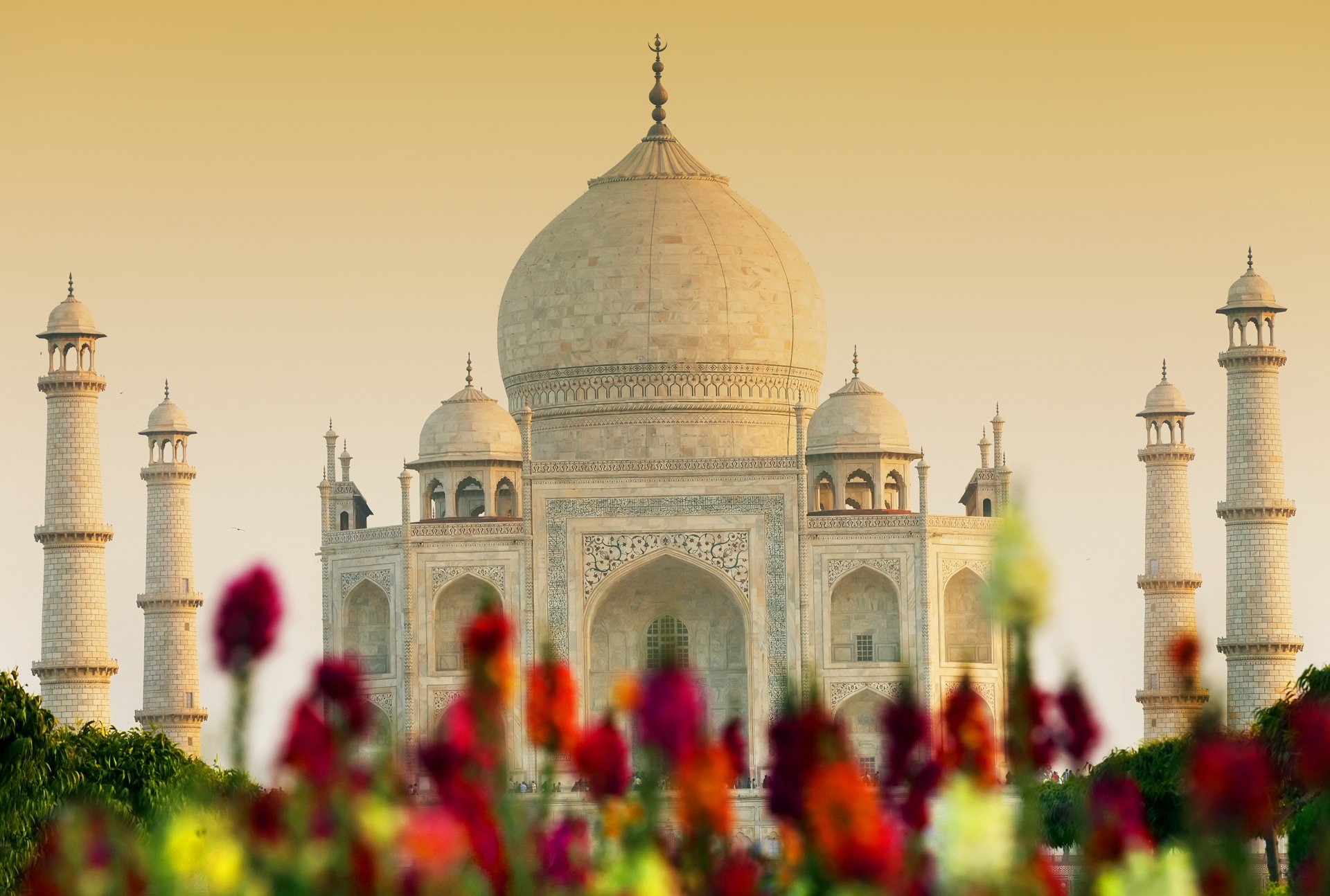Taj Mahal wide view from the garden